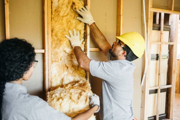 Best Insulation Contractors for Homes  in East York, PA